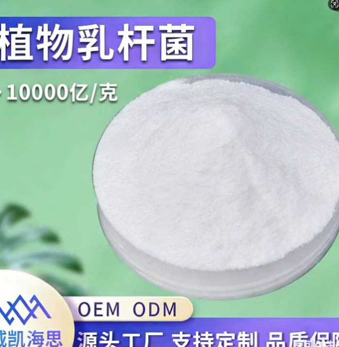 ֲ����U����